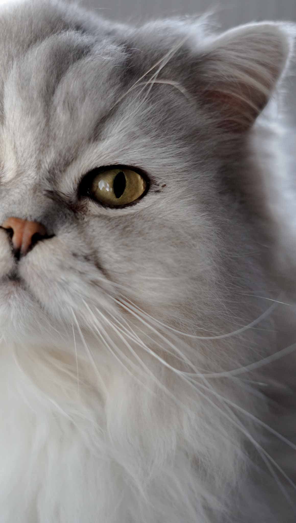 Portrait – stiller Moment